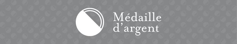 Bandeau argent